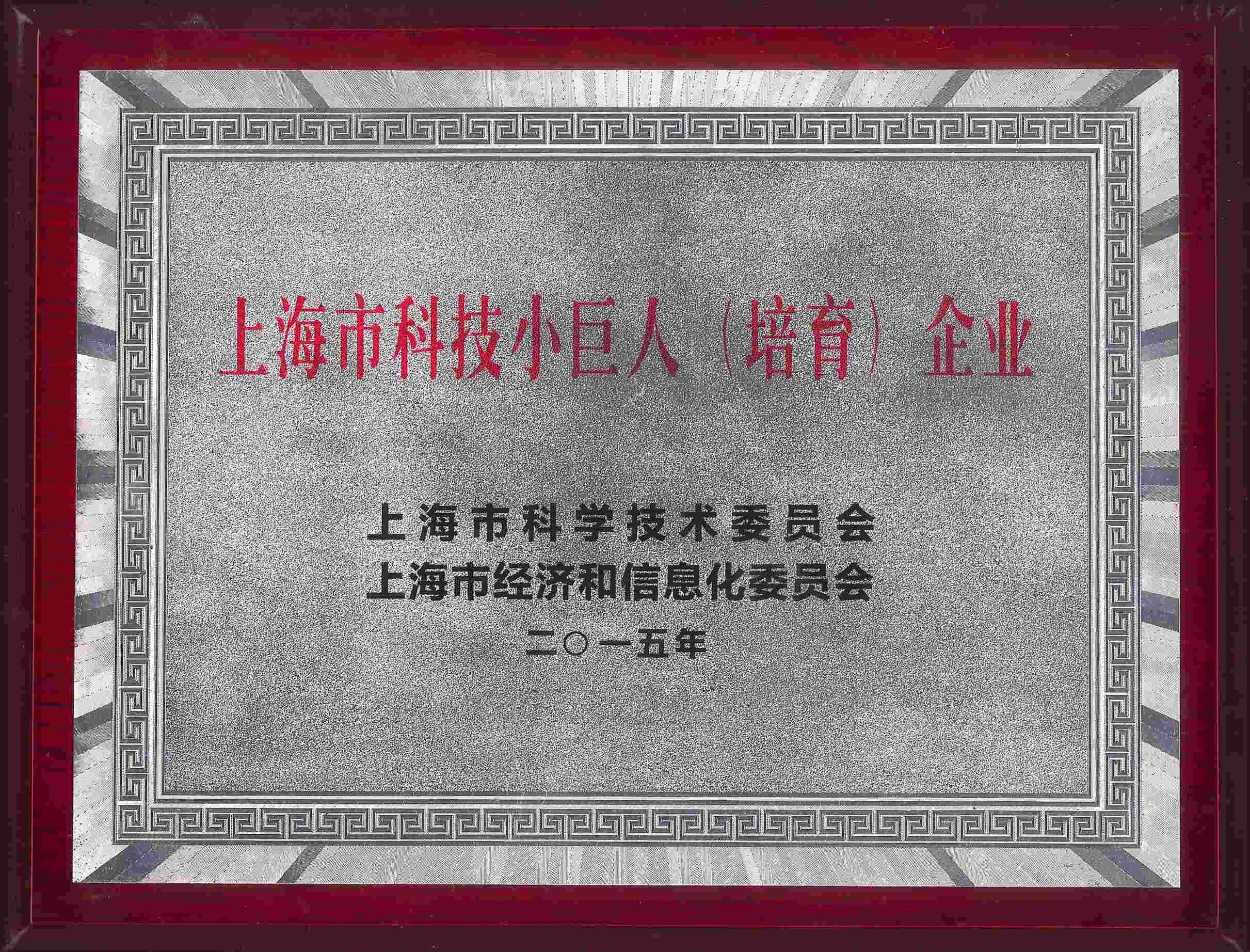 小巨人（培育）企业